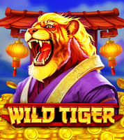 Wild Tiger